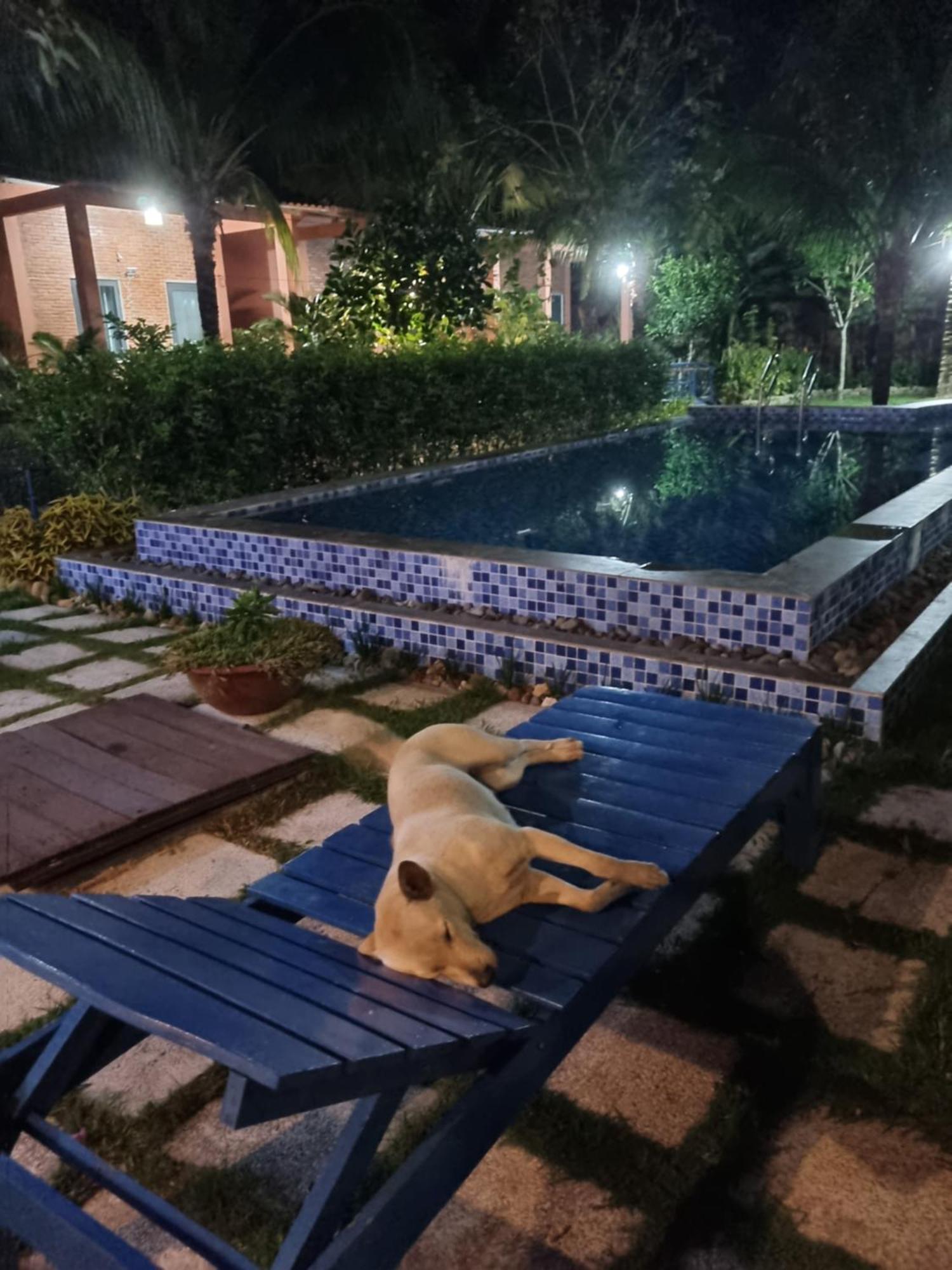 Anan Boutique Bungalows With Private Kitchen Duong Dong Exterior foto